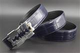 PP belt AA 105-125cm-lh12_3891148